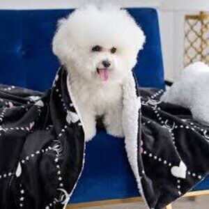 NWT Juicy Couture Black Plush Sherpa Dog Throw & Pillow